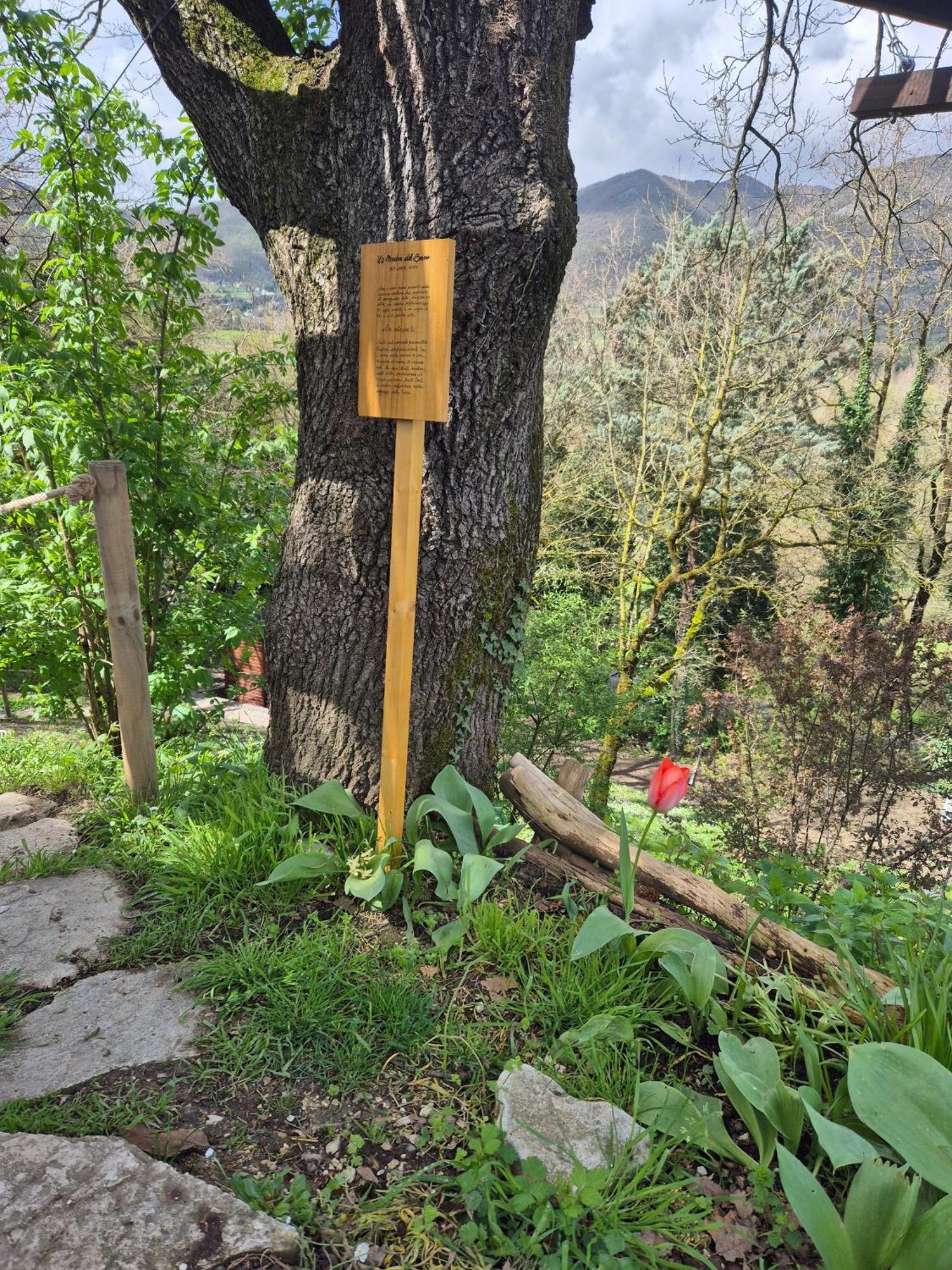 B&B Colle Di Terria Country House Contigliano Exteriör bild