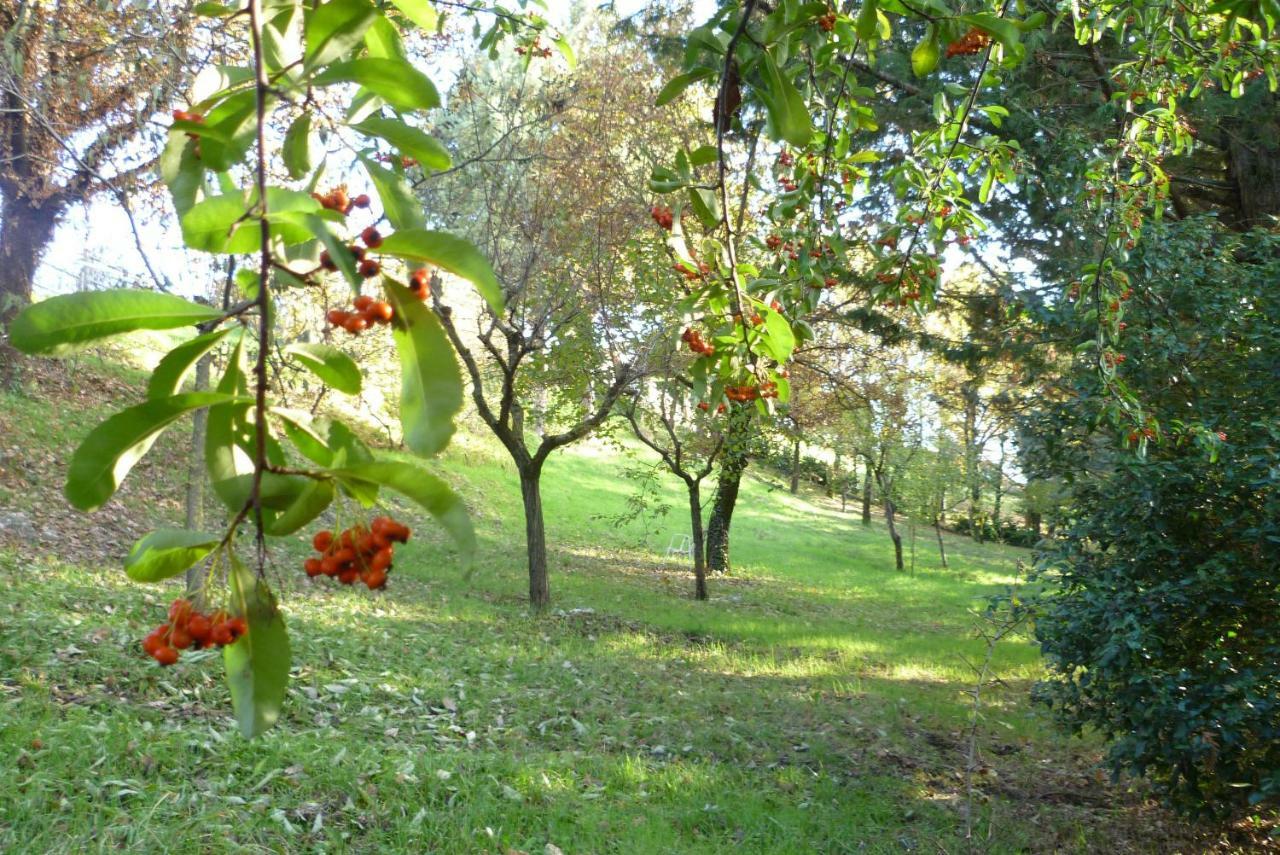 B&B Colle Di Terria Country House Contigliano Exteriör bild