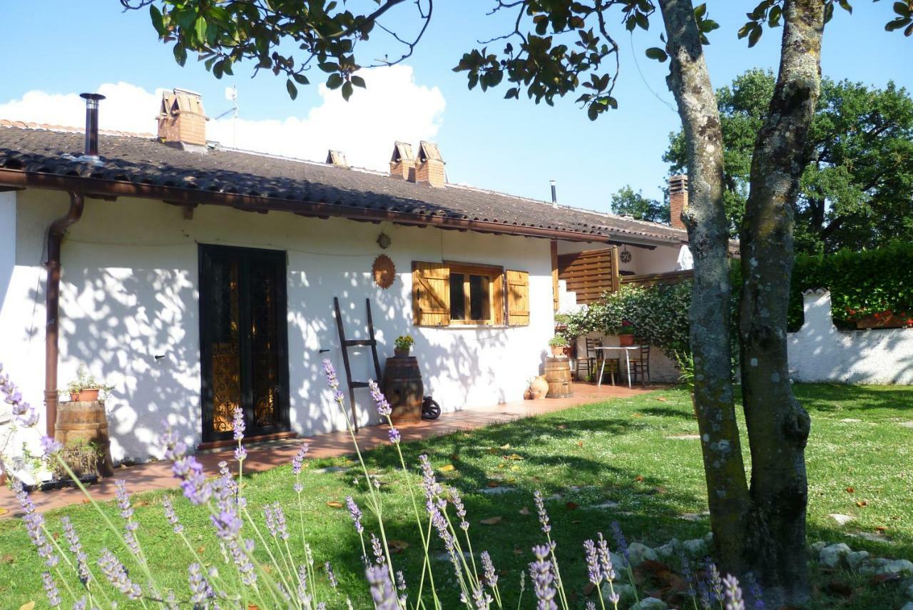 B&B Colle Di Terria Country House Contigliano Exteriör bild